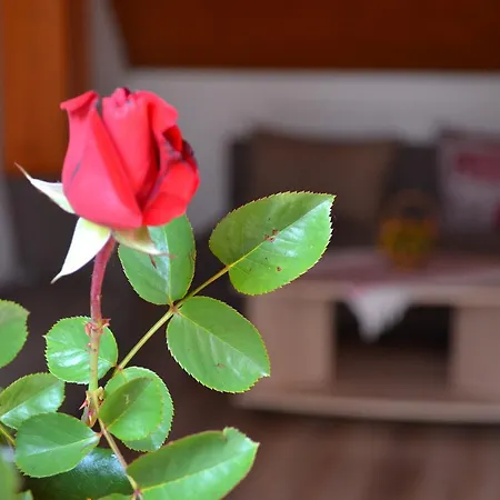 Apartamento Velická Izba