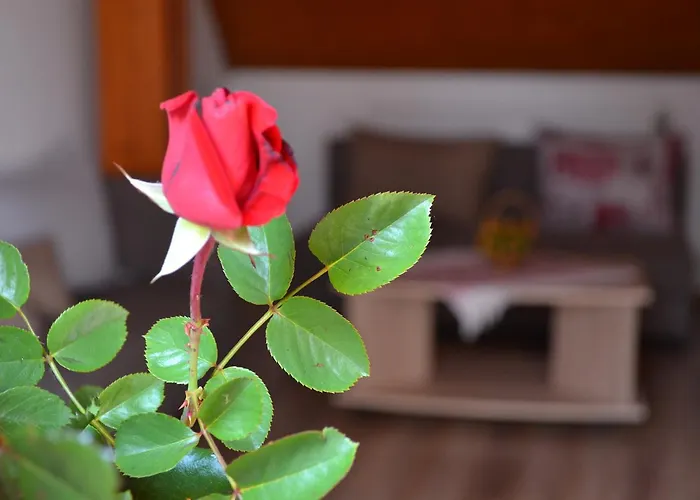 Apartmán Velicka Izba